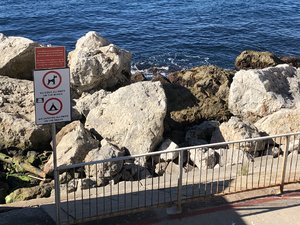 D8794045-9BB7-4C4D-A38F-6D17152F75A2.jpeg D8794045-9BB7-4C4D-A38F-6D17152F75A2.jpeg