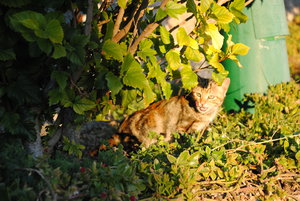 DSC_0134.JPG