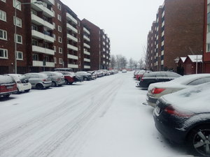 IMG_20190126_103028.jpg IMG_20190126_103028.jpg