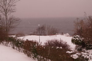 Tyresta, Stendörren, Arild, Mölle jan 2019 028.JPG Tyresta, Stendörren, Arild, Mölle jan 2019 028.JPG