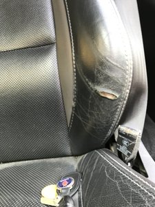 IMG_5005.jpeg IMG_5005.jpeg