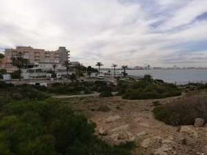 IMG_20190129_151220.jpg IMG_20190129_151220.jpg