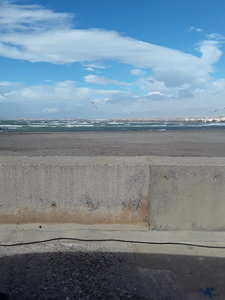 20190131_124031.jpg 20190131_124031.jpg