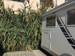 C2A944F2-9A0B-4227-91C8-8896E11D9017.jpeg C2A944F2-9A0B-4227-91C8-8896E11D9017.jpeg