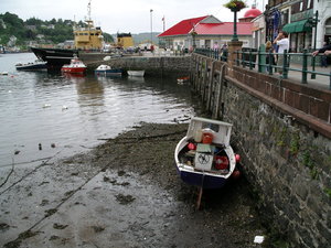 IMGP0587.JPG