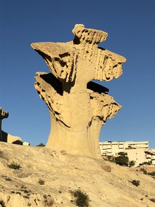 C9336CE8-38C4-4722-9632-EEDB6E471675.jpeg C9336CE8-38C4-4722-9632-EEDB6E471675.jpeg