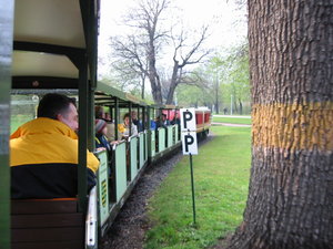 100-0082_IMG.JPG