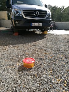 034464BF-6C50-486C-AB77-FB2D62EA7D9B.jpeg 034464BF-6C50-486C-AB77-FB2D62EA7D9B.jpeg