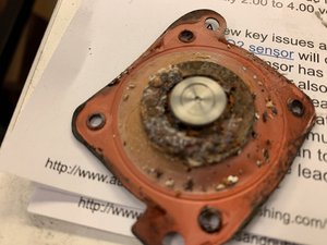 IMG_9095.JPG IMG_9095.JPG