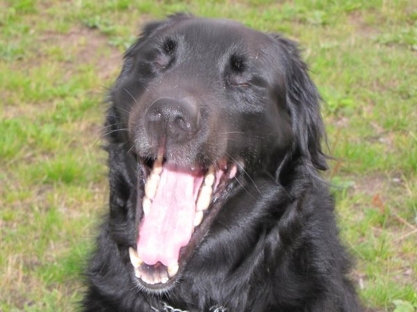 000 006.JPG 000 006.JPG