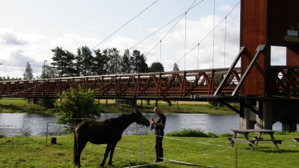 Kalle vid hängbron i Dala-Floda.JPG