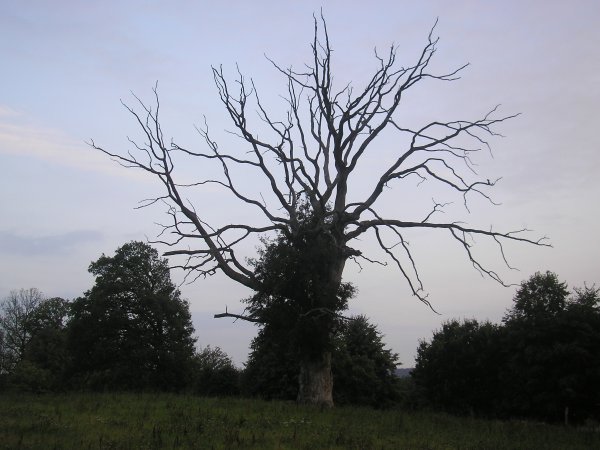 P8270012.JPG P8270012.JPG