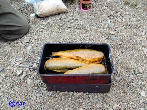 harr 1.jpg harr 1.jpg