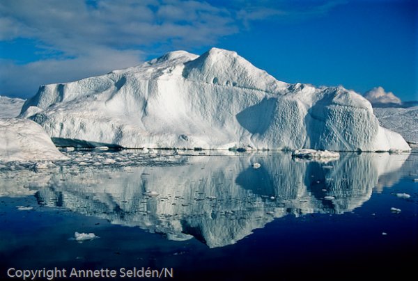 1998 07-507-Edit.jpg