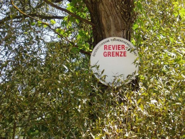 Fiske_00.JPG Fiske_00.JPG