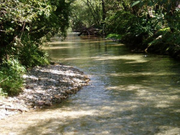 Fiske_Biotop_1.JPG Fiske_Biotop_1.JPG