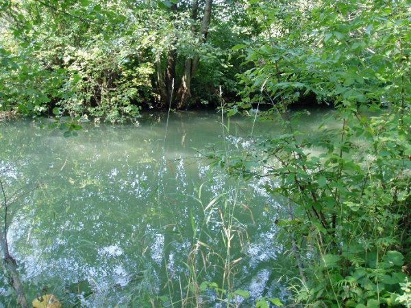 Fiske_Biotop_3.JPG Fiske_Biotop_3.JPG