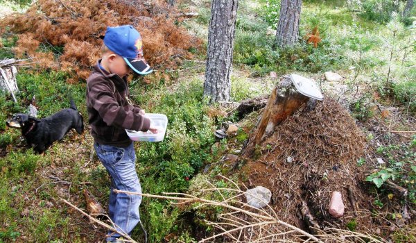 Vad kan det vara däri.JPG