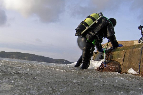 Vinterdykning i Gullmarn.jpg