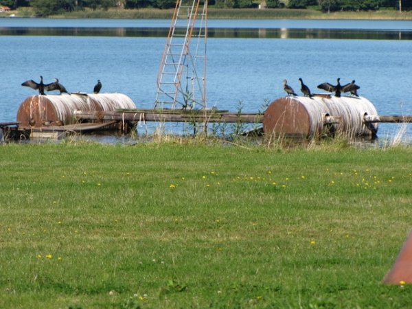 höst 021.JPG höst 021.JPG