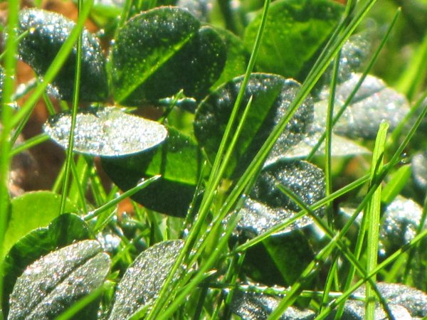 höst 048.JPG höst 048.JPG