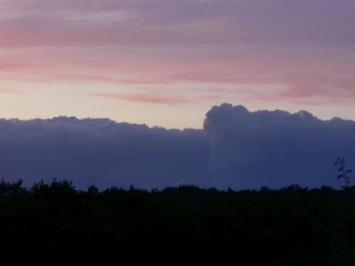 P1030040-500.jpg P1030040-500.jpg