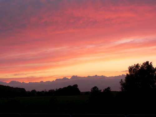 P1030050-500.jpg P1030050-500.jpg