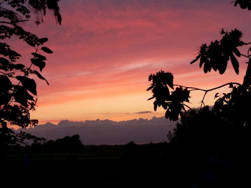 P1030049-500.jpg P1030049-500.jpg