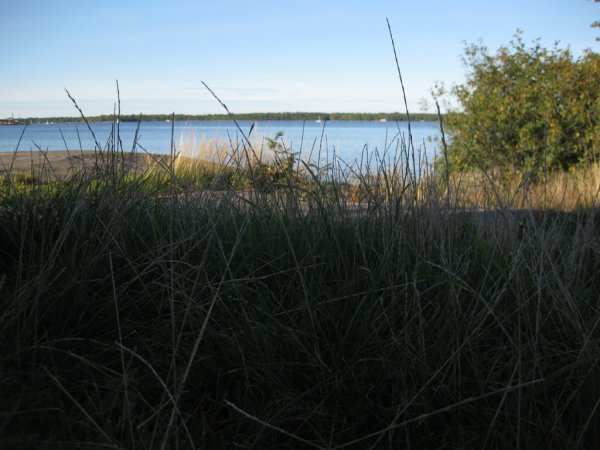 IMG_1368.JPG IMG_1368.JPG