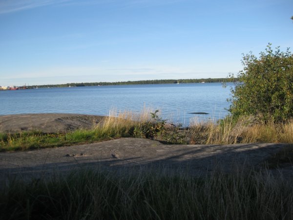 IMG_1369.JPG IMG_1369.JPG