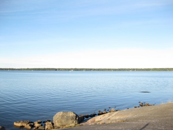 IMG_1373.JPG IMG_1373.JPG