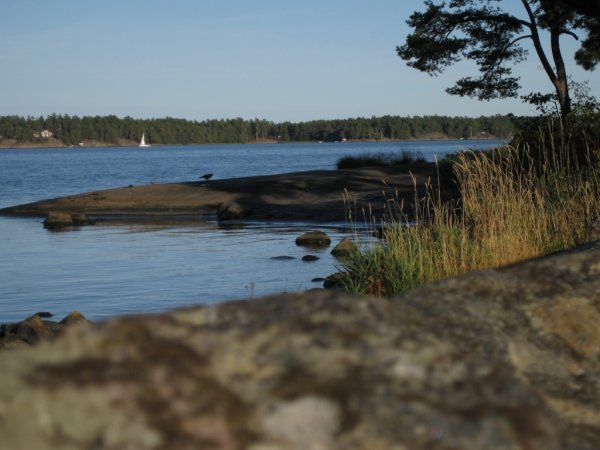 IMG_1378.JPG IMG_1378.JPG