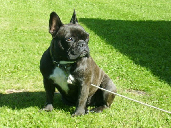 semester Östersund. 012.jpg semester Östersund. 012.jpg