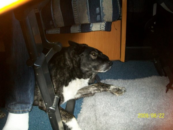 100_1624.jpg 100_1624.jpg