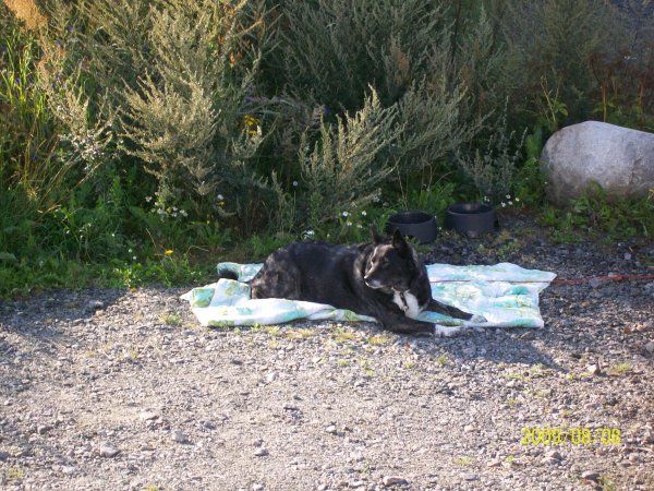 100_1533.jpg 100_1533.jpg