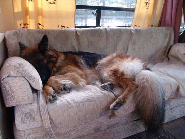 DSC02270.jpg DSC02270.jpg