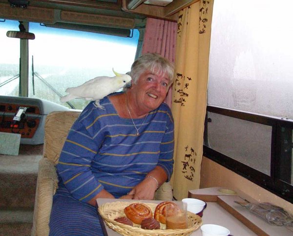 DSC02266.jpg DSC02266.jpg