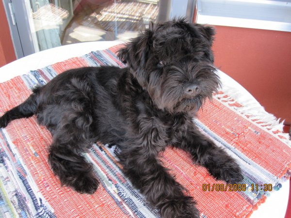 IMG_0012.JPG IMG_0012.JPG