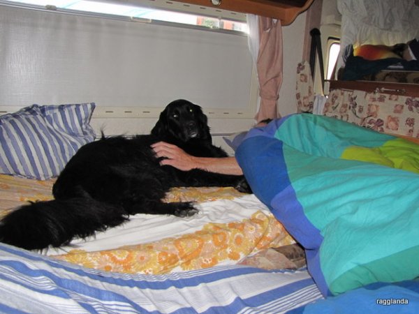 mot kungsbacka 072.JPG