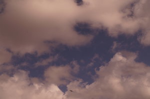 Spaniens östkust, till Carla Missa 14 feb 034.JPG