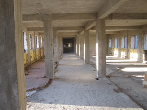 IMG_5459.JPG