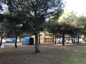 7ADB7D7B-494B-44BA-A7DA-C70BCFD91DC3.jpeg 7ADB7D7B-494B-44BA-A7DA-C70BCFD91DC3.jpeg