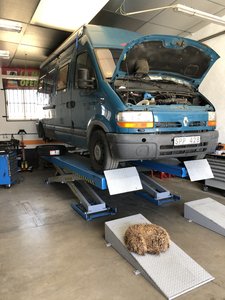 901AC5FF-5201-48D6-995F-4502066318EC.jpeg 901AC5FF-5201-48D6-995F-4502066318EC.jpeg