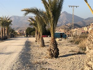 BF7F09A2-1AB8-4E96-AE95-BC48A88F86B5.jpeg BF7F09A2-1AB8-4E96-AE95-BC48A88F86B5.jpeg