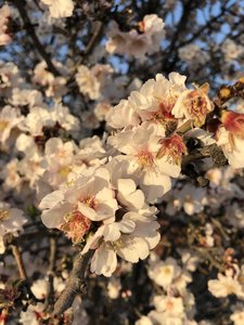 170471CC-3927-4727-834E-AA63A777878B.jpeg 170471CC-3927-4727-834E-AA63A777878B.jpeg