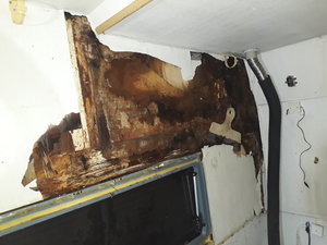 2019-02-23 18.19.40.jpg