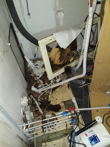 2019-02-23 18.20.08.jpg