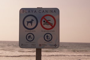 Marknader Torrax o Cala Mijas 027.JPG