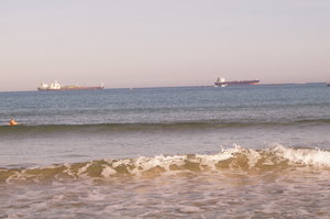 Gibraltar, Punta del Carnero, badar 115.JPG