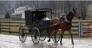 upload_2019-3-2_18-50-25.png upload_2019-3-2_18-50-25.png